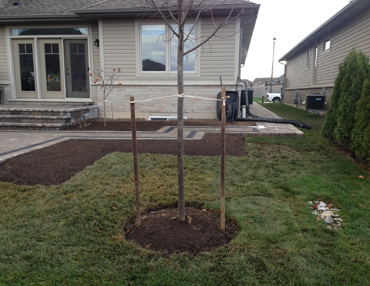 terrascape landscape construction hamilton burlington niagara haldimand ontario